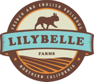 LilyBelle Farms